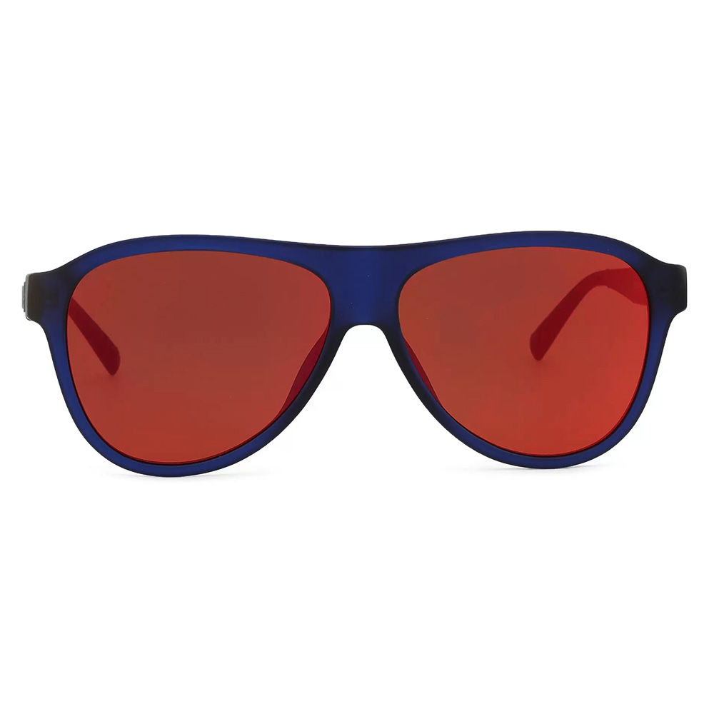 Mirrored Wayfarer Sunglasses